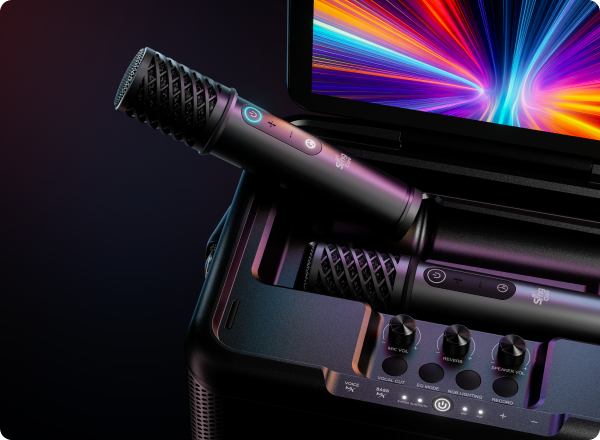 Dual Wireless Microphones